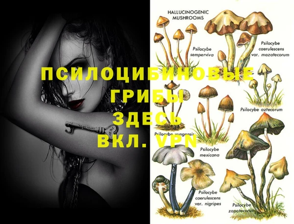 альфа пвп Богородицк
