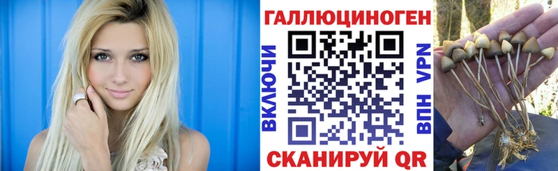 даркнет сайт Наро-Фоминск Галлюциногенные грибы прущие грибы