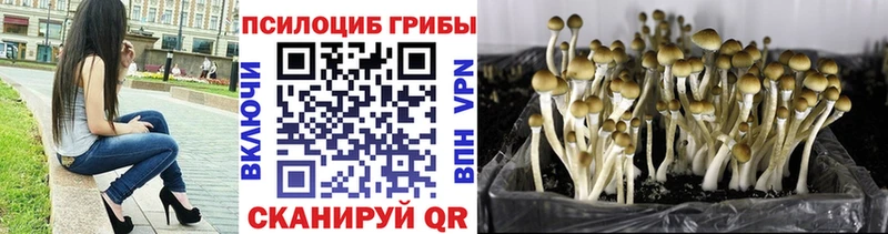 Галлюциногенные грибы Magic Shrooms Наро-Фоминск